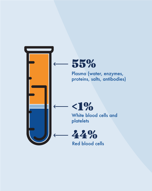 what is plasma in blood - what percentage of blood is made up of plasma - octapharma plasma